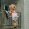 用戶頭像