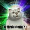 用戶頭像