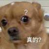 用戶頭像