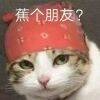 用戶頭像