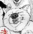 用戶頭像