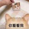 用戶頭像