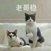 用戶頭像
