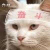 用戶頭像