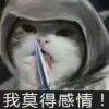 用戶頭像