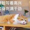用戶頭像
