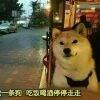 用戶頭像