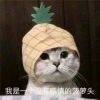 用戶頭像