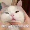 用戶頭像