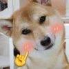 用戶頭像