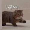 用戶頭像