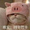 用戶頭像