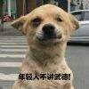 用戶頭像