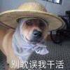 用戶頭像