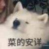 用戶頭像