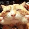 用戶頭像