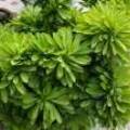 用戶(hù)頭像