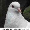 用戶頭像