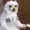 用戶頭像