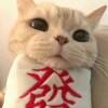 用戶頭像