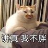 用戶頭像