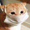 用戶頭像