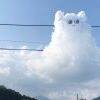 用戶頭像