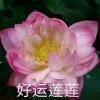 用戶頭像