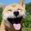 用戶頭像