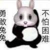 用戶頭像