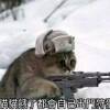 用戶頭像