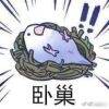 用戶頭像