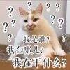 用戶頭像