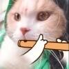 用戶頭像