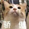 用戶頭像
