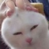 用戶頭像