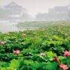 用戶頭像