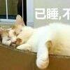 用戶頭像
