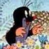 用戶頭像