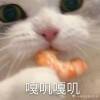 用戶頭像