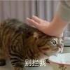 用戶頭像